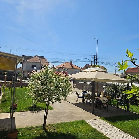 Apartments Kuca Aleksic Ni エクステリア 写真
