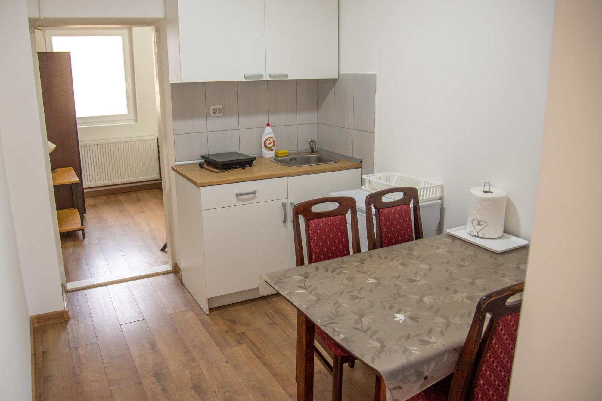 Apartments Kuca Aleksic Ni エクステリア 写真