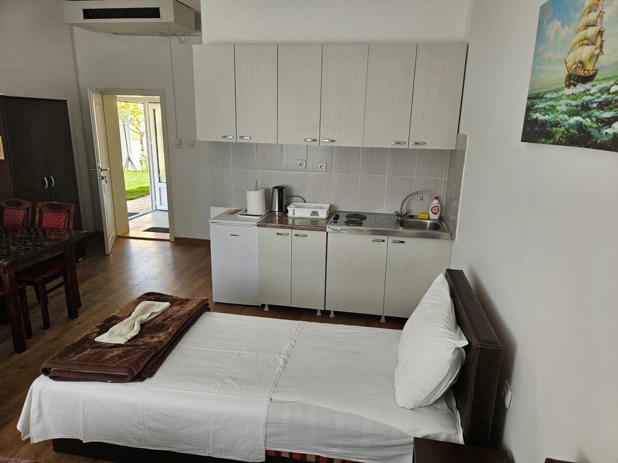 Apartments Kuca Aleksic Ni エクステリア 写真